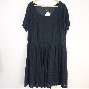 RN Studio fit and flare LBD Sz 3X